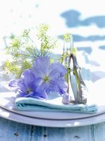 Gedeck dekoriert mit Dill und blauen Blüten, auf Gartentisch