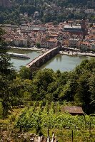 View of Karl-Theodor Old Bridge and cityscape in Heidelberg, Germany