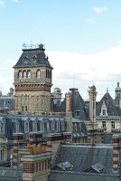 Paris: Quartier Latin, Sorbonne, Dach.