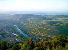 Aerial view of Oberhausen near Wine Region, Ruhr, Germany