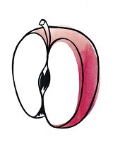 Illustration aufgeschnittener, halbe r roter Apfel