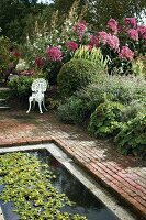 View of garden pond