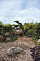 View of garden in Japan