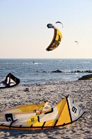 Kiting on beach at Fehmarn, Baltic Coast, Schleswig-Holstein