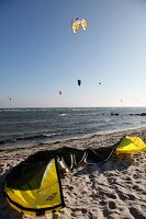 Ostseeküste: Schleswig-Holstein, Fehmarn, Burger Binnensee, Surfen