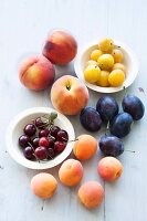 Various type of stone fruits