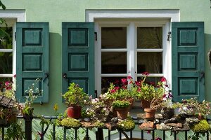 Exterior of cafe Rufus with plants and green window, Augsburg, Bavaria, Germany