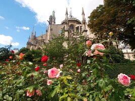 View of Notre-Dame Cathedral and garden in Paris, France