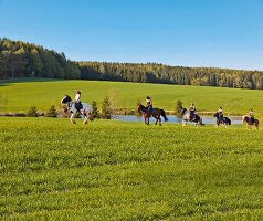 Augsburg: Bayern, Schwaben, Westliche Wälder, Stauden, Ausritt