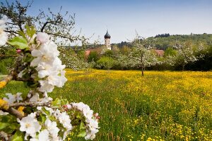 View of Oberschonenfeld Abbey and field in Augsburg, Bavaria, Germany