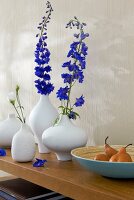 Vasen, Vase, Blume, Blumen 