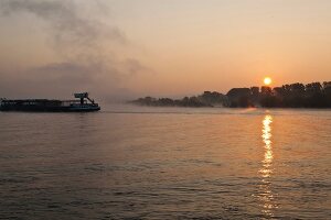 View of Rhine at sunrise in Oestrich, Rheingau, Hesse, Germany