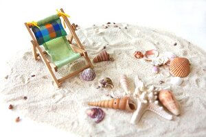 Small wooden deck chair and different types of shells in sand