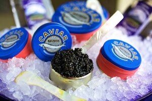 Close-up of caviar on spoon