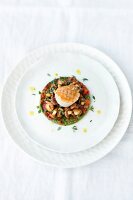 Close-up of fried scallops with chanterelles and red pepper on plate