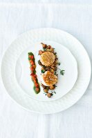 Close-up of fried scallops with chanterelles and red pepper on plate