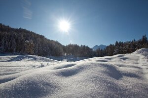 View of pine trees covered with snow in Leutaschtal, Tirol, Austria