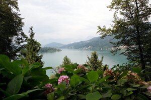 Blick vom Grotto "Sassalto" auf den Luganer See, Caslano, Tessin