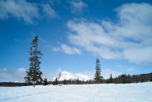 View of snows cape at Hemsedal ski resort in Norway