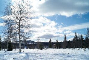 View of Hemsedal ski resort in winter, Norway