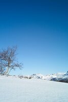 View of snows cape at Hemsedal ski resort in Norway