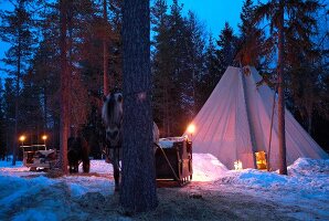 Trysil, Norwegen, Schlittenfahrt am Abend mit Pferd, Pause, Zelt