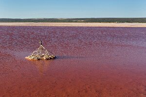 Pink Lake at Kalbarri National Park, Australia