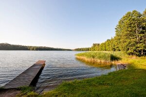 View of trees and lake in Mikolajki, Warmia-Masuria, Poland
