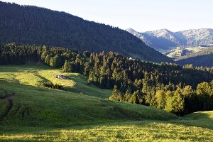 View of mountain and green pastures at Oberallgaeu, Bavaria, Germany