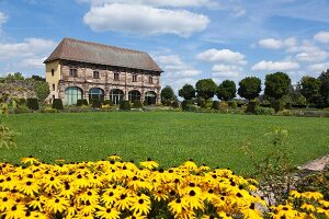 View of house with Rudbeckia around in Blieskastel, Saarland, Germany