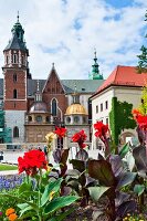 View of Wawel Royal Castle through flowers in Krakow, Poland