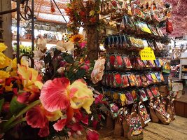 Amsterdam, an der Singelgracht, Blumenmarkt, Blumen, innen