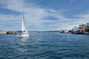 View of sailboat in sea and houses on coast at Skafto Island, Sweden