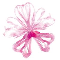 Illustration, Pflanze, Blume, Blüte wilde Malve, Malva sylvestris