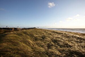 Restaurant Sansibar in den Dünen von Rantum, Sylt