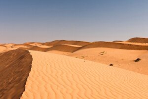 Sand dunes at Wahiba sands, Oman 