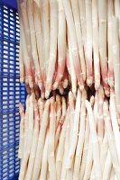 Close-up of white asparagus in basket