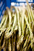 Close-up of green asparagus