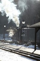 Dampflokomotive der Zittauer Schmalspurbahn, Dampf, dampfend