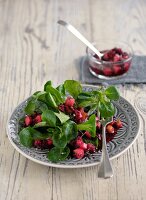 Grünes Kochbuch, Feldsalat mit Vinaigrette