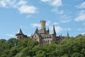 View of Marienburg Castle and trees at Hannover, Germany