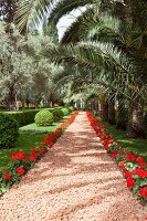 View of pebbles pavement with flower plant and palm trees at Bahai Garden, Haifa, Israel