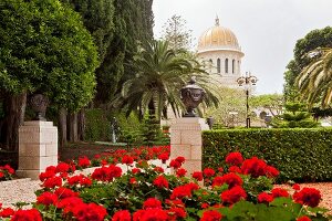 View of pebbles pavement with flower plant and palm trees at Bahai Garden, Haifa, Israel