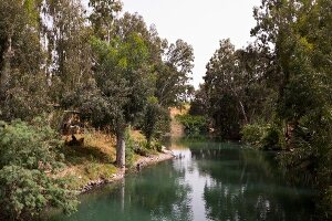 View of Jordan River and trees at Yardenit, Israel