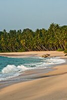 View of palm trees and Tangalle beach in Hambantota District, Southern Province, Sri Lanka