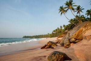 Sri Lanka, Südküste, Tangalle, Strand vor Amanwella Hotel, Palmen