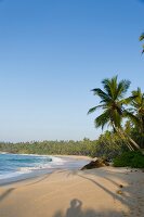 View of beach and palm trees in Tangalle, Hambantota District, Sri Lanka