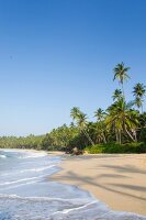 View of beach and palm trees in Tangalle, Hambantota District, Sri Lanka