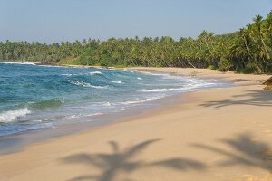 Sri Lanka, Südküste, Tangalle, Strand, Palmen