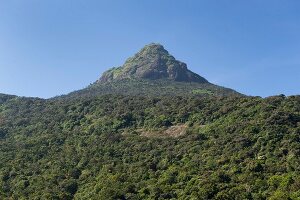 View of green mountain peak of Sri Pada mountain in Sri Lanka